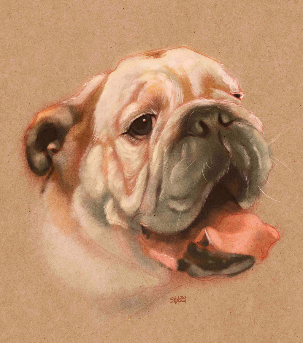 pet portrait, bust/head: 220€